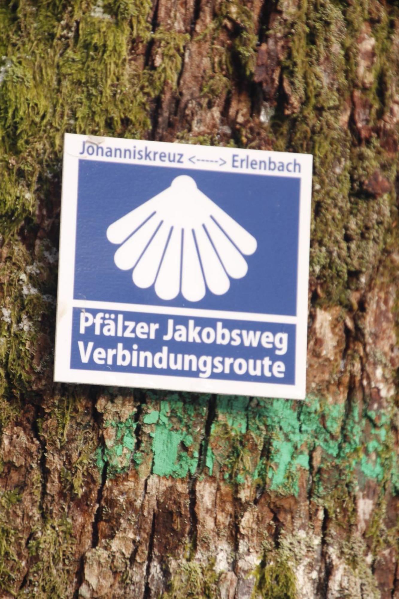 Ferienwohung Am Felsenwanderweg Im Pfaelzerwald Apartamento Rodalben Exterior foto