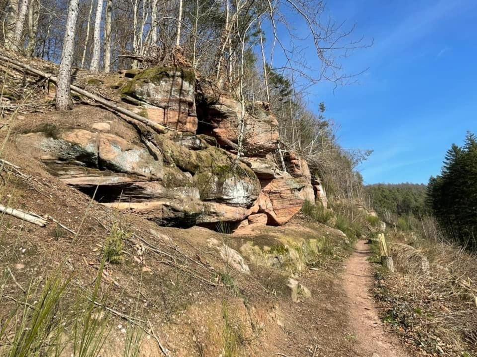 Ferienwohung Am Felsenwanderweg Im Pfaelzerwald Apartamento Rodalben Exterior foto