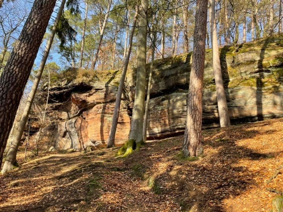 Ferienwohung Am Felsenwanderweg Im Pfaelzerwald Apartamento Rodalben Exterior foto