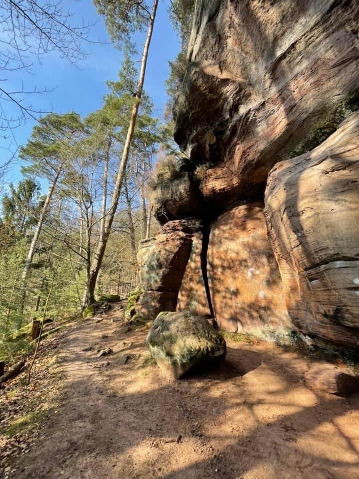 Ferienwohung Am Felsenwanderweg Im Pfaelzerwald Apartamento Rodalben Exterior foto